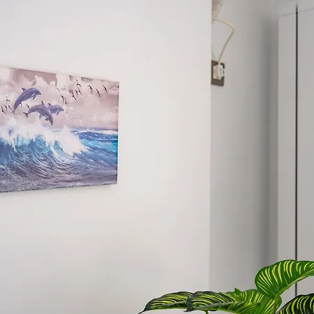 Apartmán Bloom Pool & Mamaia Nord *