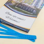Bloom Pool & Mamaia Nord